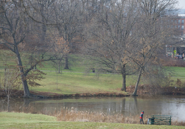 Man standing near park pond