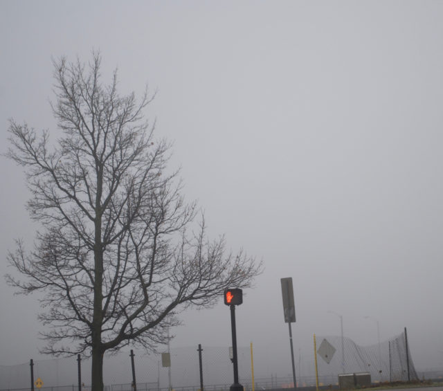 Creepy tree and glowing pedestrian signal with everything else blanked out by fog