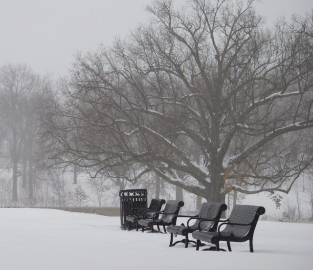 Park benches in snow