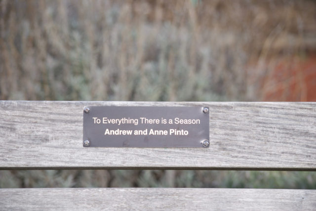 Bench with plaque that reads To Everything There Is A Season
