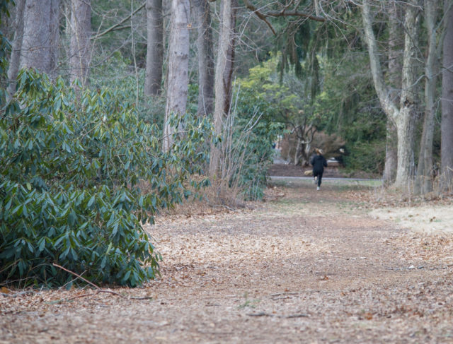 Woman jogging in park 