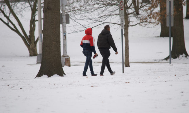 Two people walking through park