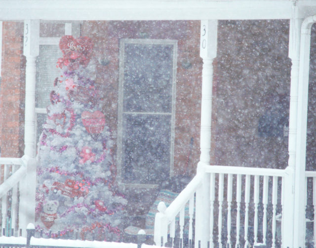 Tree decorated for Valentine's Day on a porch during snow storm