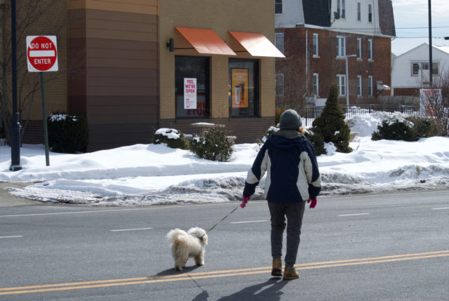Woman with dog crossing street