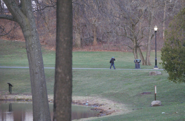 Person walking through park