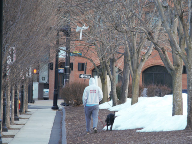 Person walking dog
