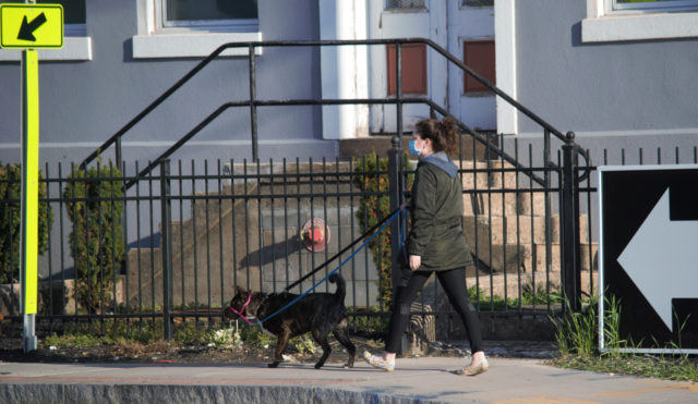 Woman walking dog 