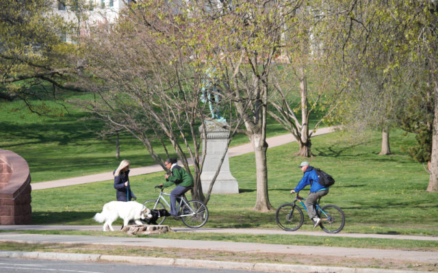 People on bikes and one walking two dogs