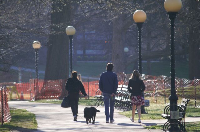 People walking through park with dog