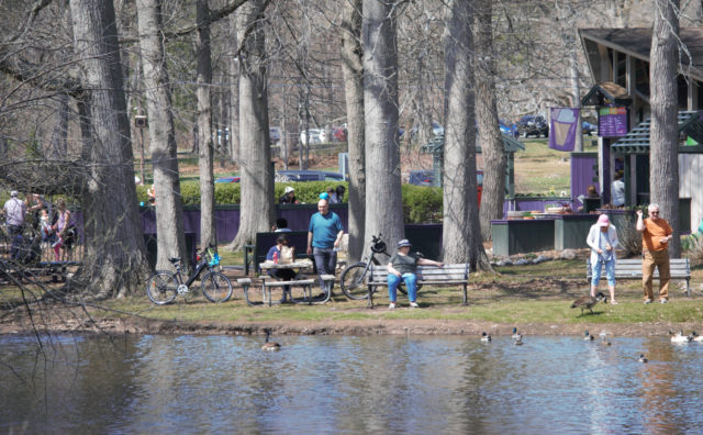People standing around a pond, feeding ducks