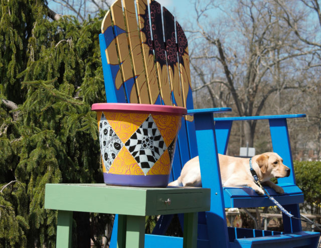 A dog sitting on an oversized chair
