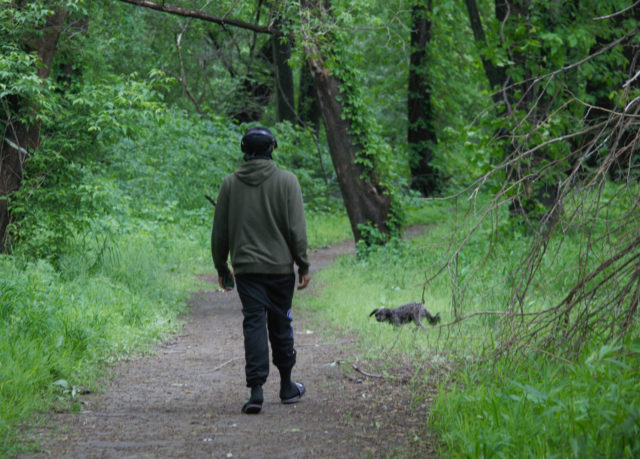 Person walking through woods with very cute, small gray dog