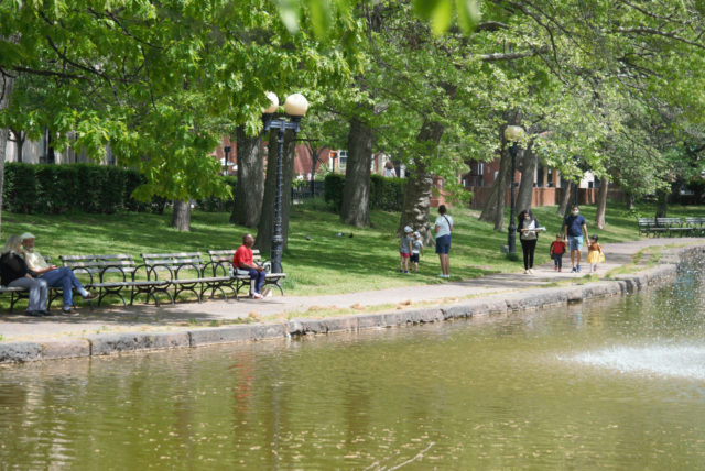 People sitting near pond in Bushnell Park 