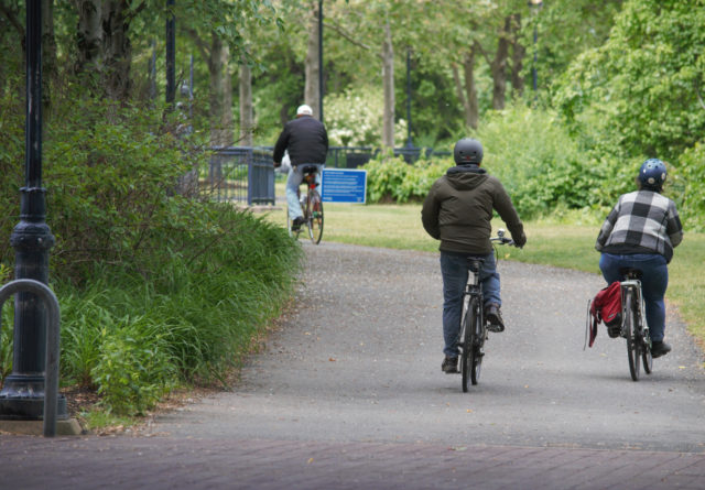 Three people riding bicycles on path