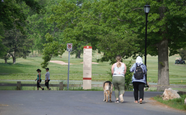 People walking large dog in park