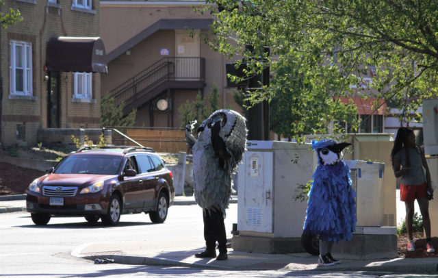 Two people, wearing an owl and a blue jay costume, stand on corner waving at cars