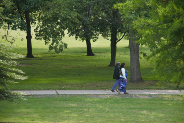 People walking through park