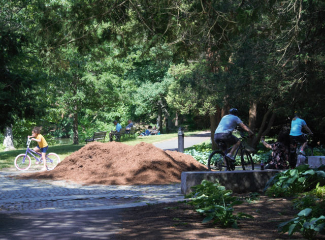 People riding bicycles near giant pile of mulch
