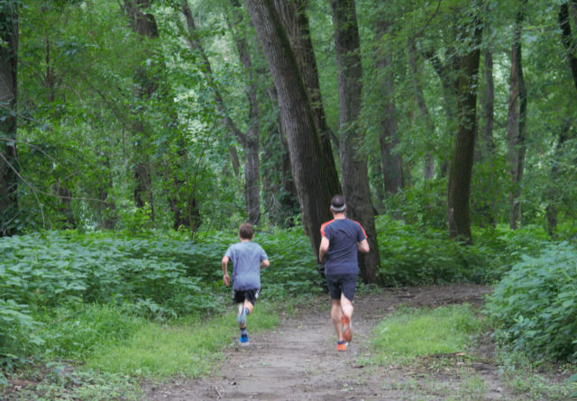 Two people jogging through woods