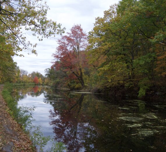 Windsor Locks Canal State Park Trail: A Park as Long as Its Name