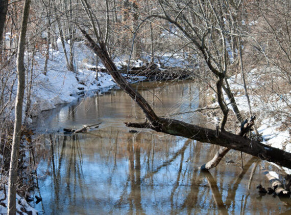Park River in Winter