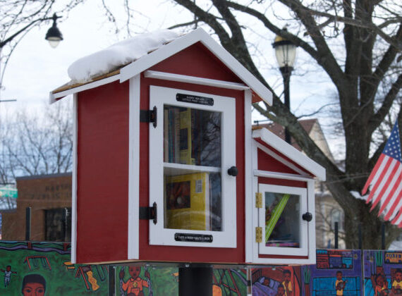 A Small and Little Library